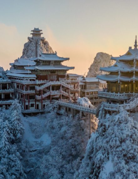 018afa5e29542da8012165184252bc